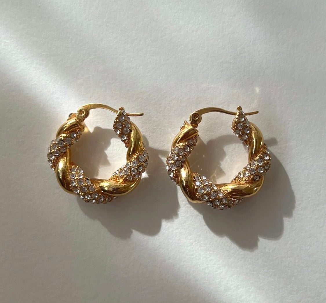 Encrusted Hoops